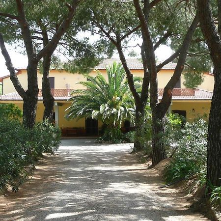Podere Oslavia Az.Agr.Bio Giannini Alberese Εξωτερικό φωτογραφία