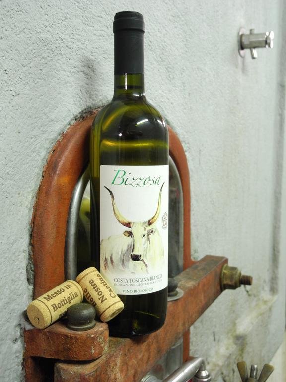 Podere Oslavia Az.Agr.Bio Giannini Alberese Εξωτερικό φωτογραφία