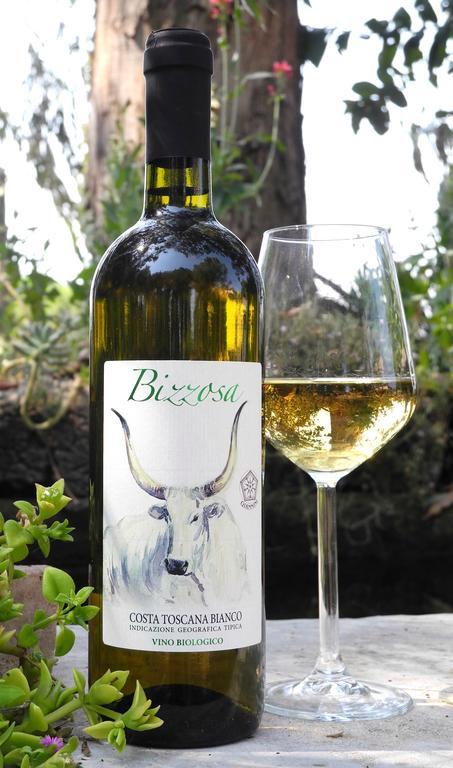 Podere Oslavia Az.Agr.Bio Giannini Alberese Εξωτερικό φωτογραφία