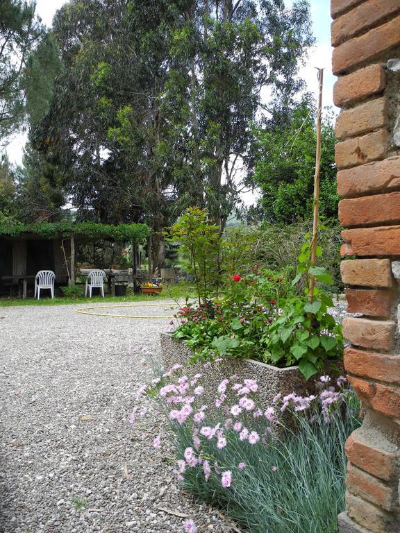 Podere Oslavia Az.Agr.Bio Giannini Alberese Εξωτερικό φωτογραφία