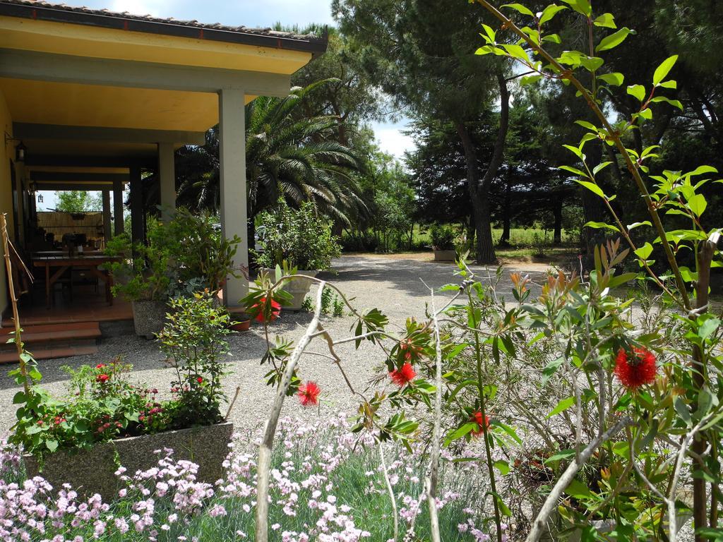 Podere Oslavia Az.Agr.Bio Giannini Alberese Εξωτερικό φωτογραφία