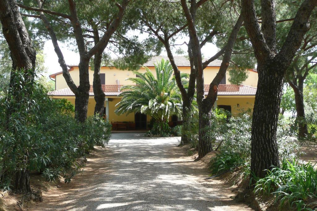 Podere Oslavia Az.Agr.Bio Giannini Alberese Εξωτερικό φωτογραφία
