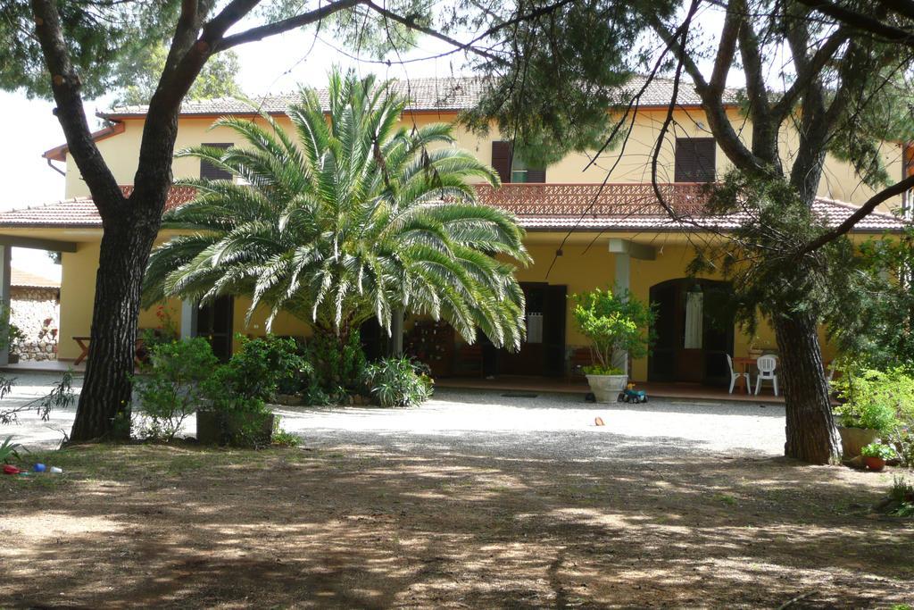 Podere Oslavia Az.Agr.Bio Giannini Alberese Εξωτερικό φωτογραφία